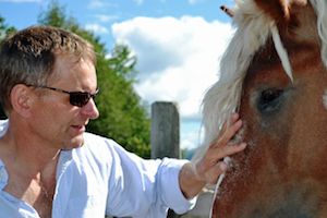 Consider Horse Assisted Coaching for Your Next Team Builder