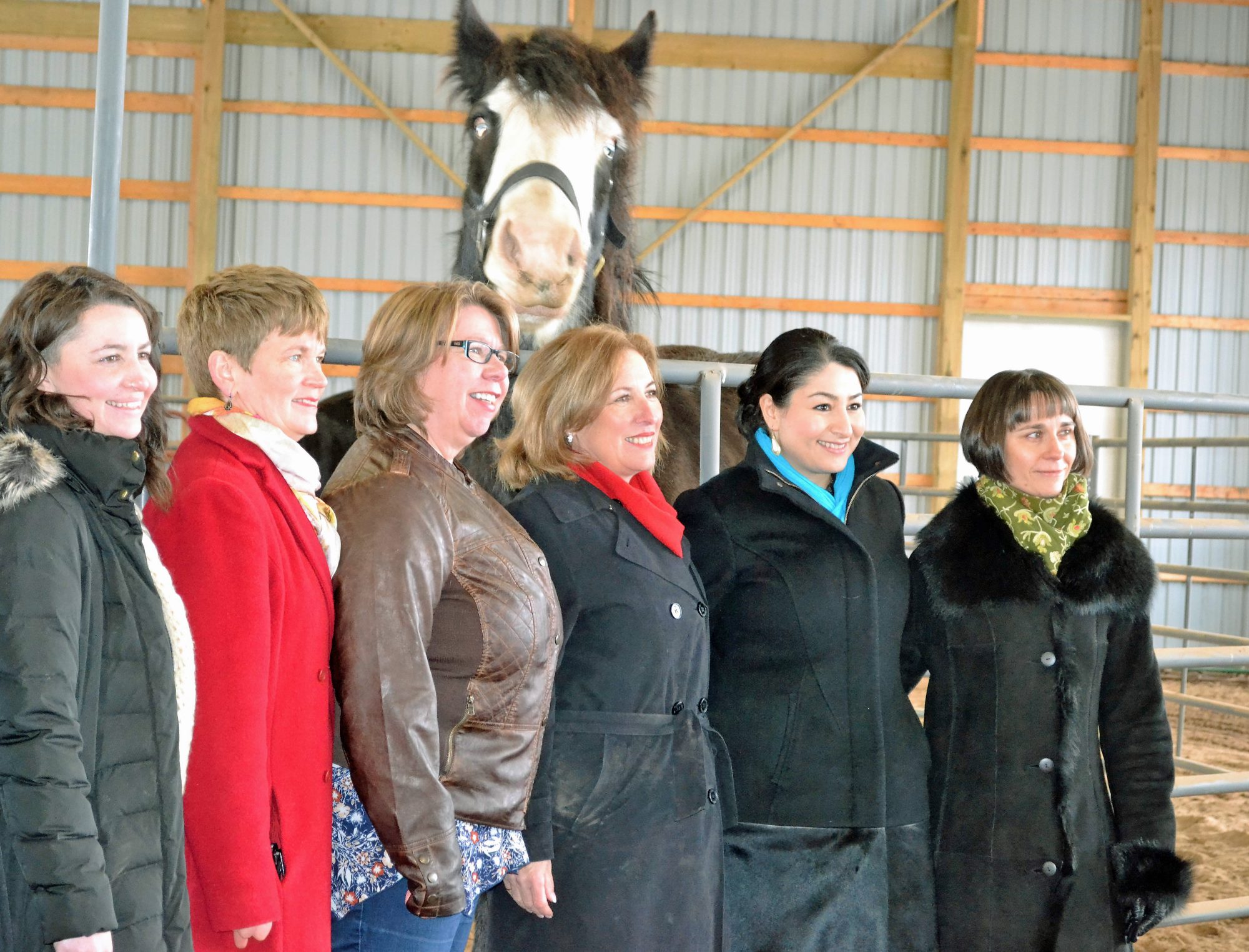 Building Internal Resilience Through Horses Funding Announced