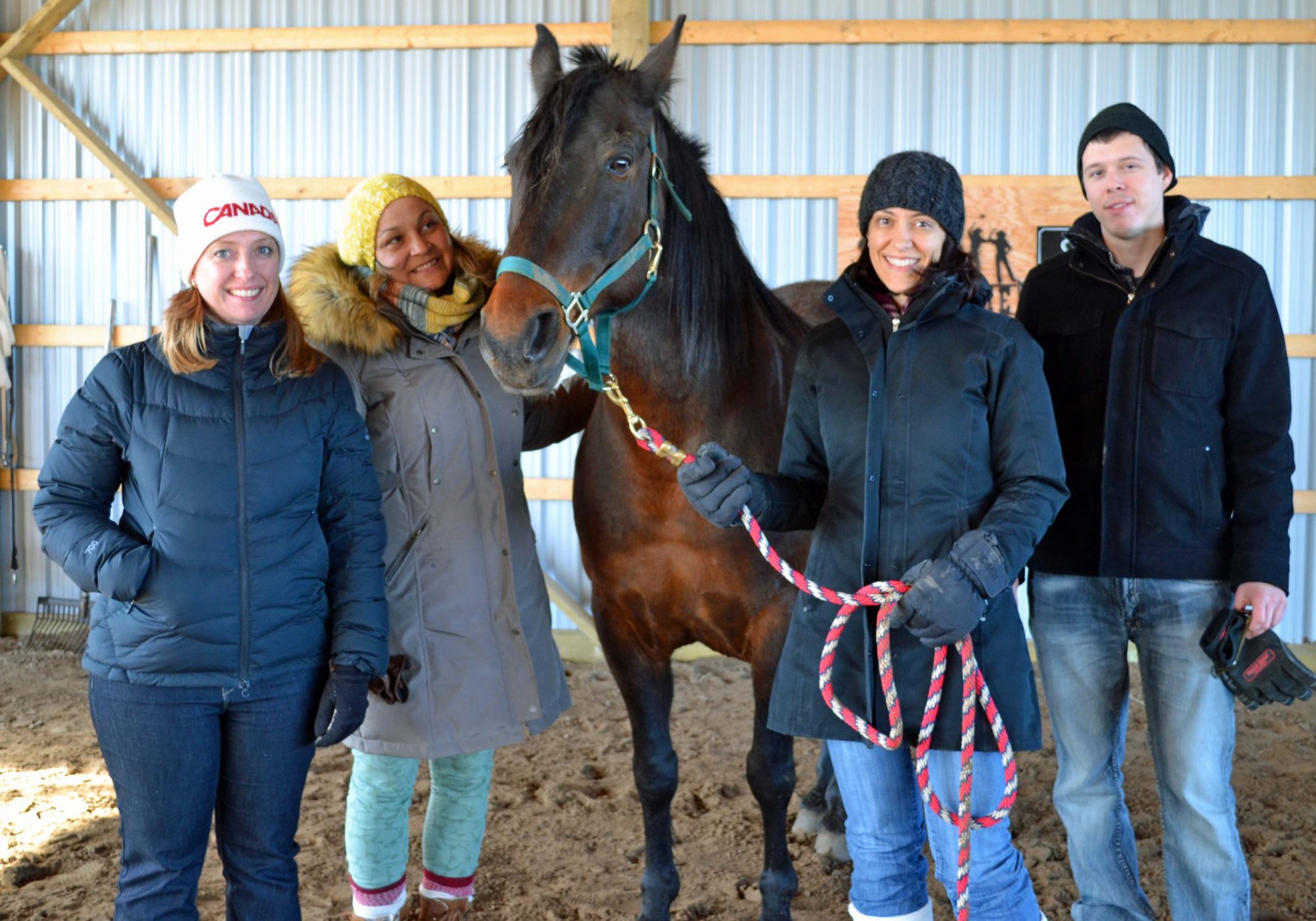 Minding the Herd: Horse Assisted Coaching