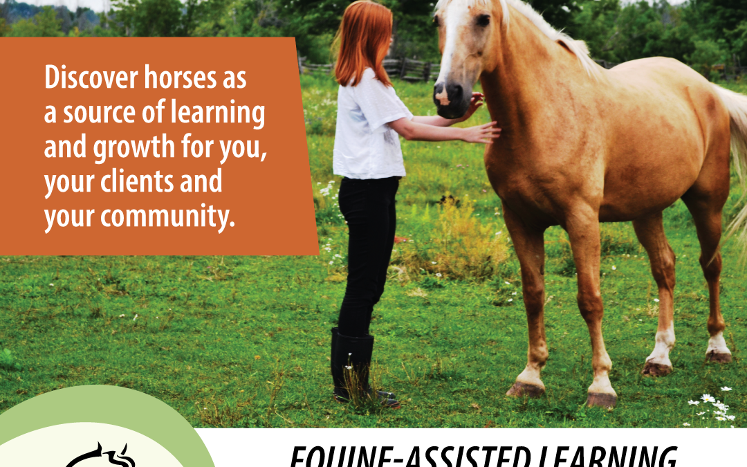 Building Internal Resilience Through Horses Equine-Assisted Learning Facilitator Training Certificate — Nova Scotia