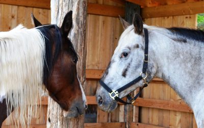 What kind of listener are you?