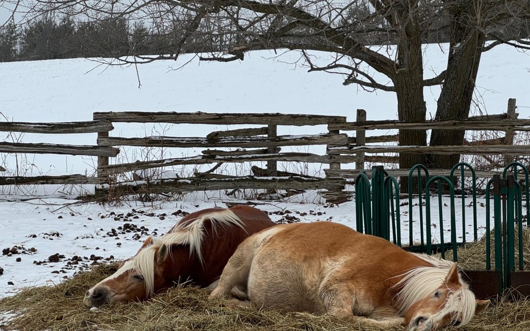 A Time for ‘Wintering’